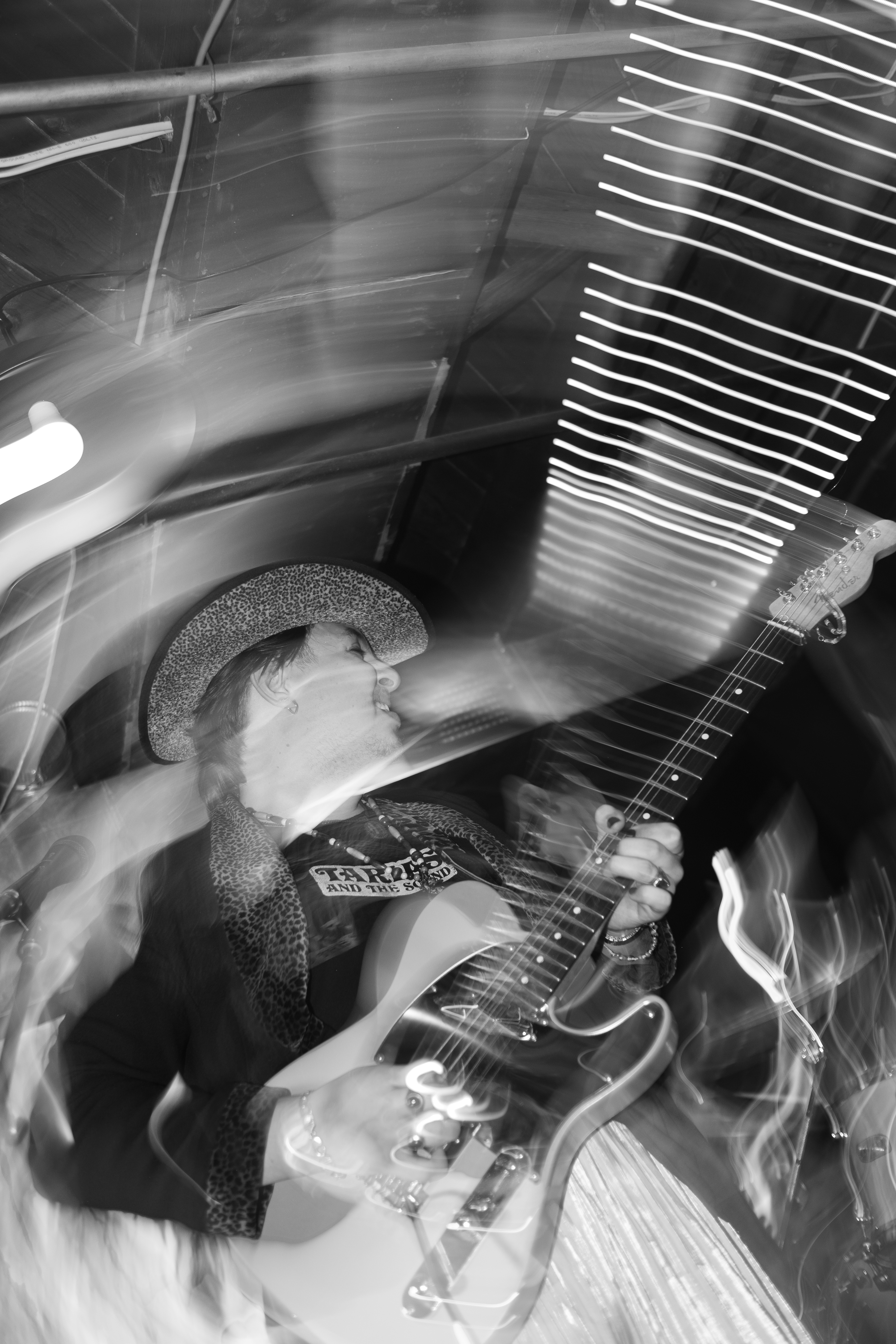 Artist photo of Tarias